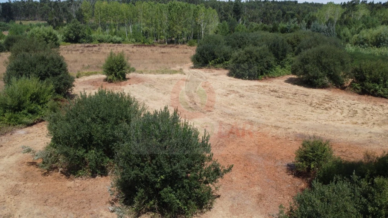 Terreno para Venda em Ouca Foto 18