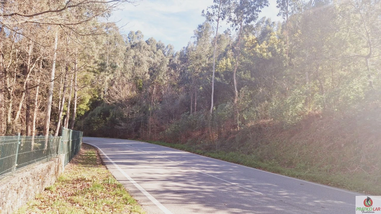 Terreno para Venda em Cedrim e Paradela Foto 1
