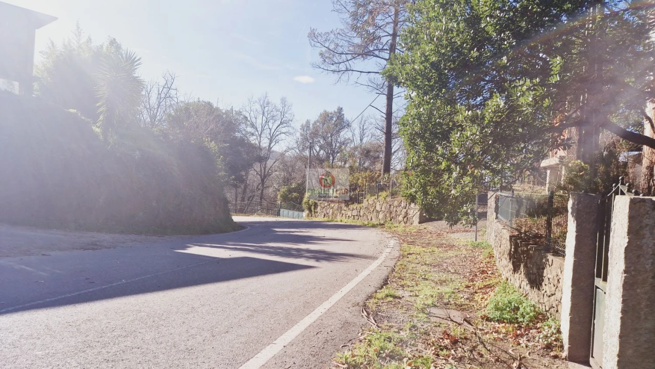 Terreno para Venda em Cedrim e Paradela Foto 10