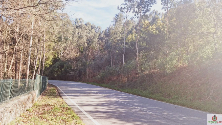 Terreno para Venda em Cedrim e Paradela Foto 1