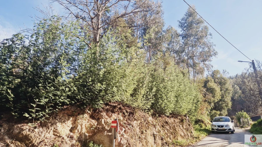 Terreno para Venda em Cedrim e Paradela Foto 5