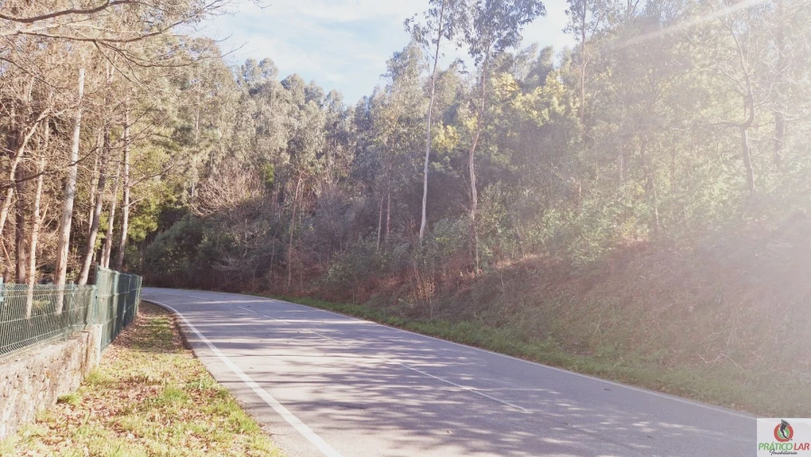 Terreno para Venda em Cedrim e Paradela Foto 3