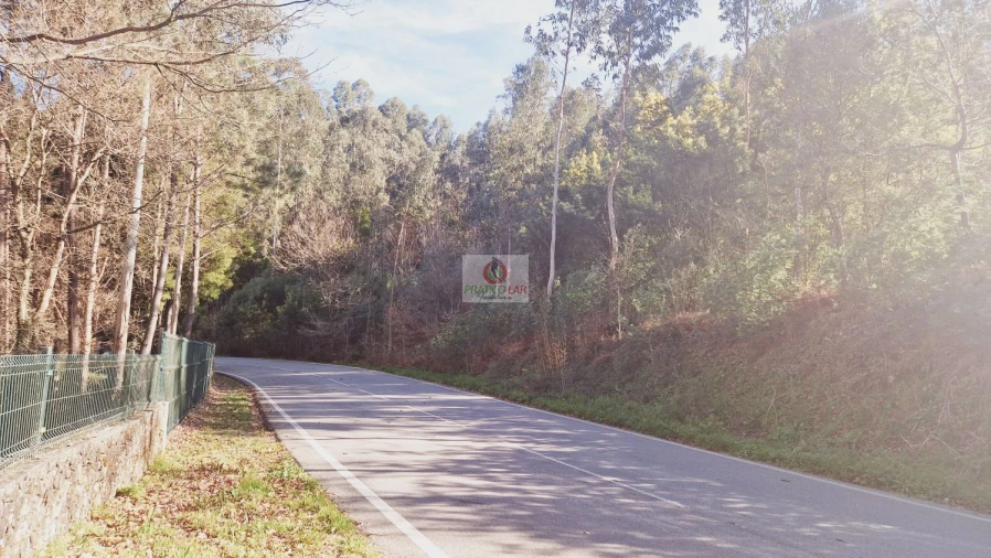 Terreno para Venda em Cedrim e Paradela Foto 1