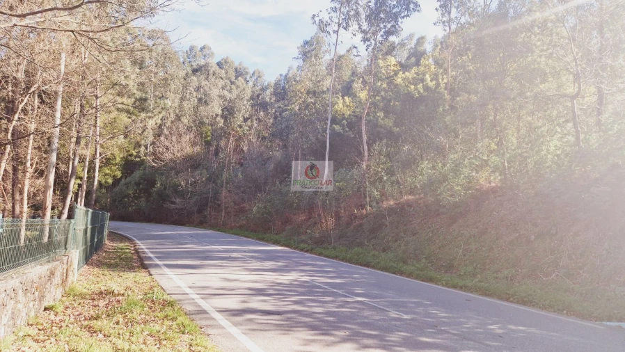 Terreno para Venda em Cedrim e Paradela Foto 3