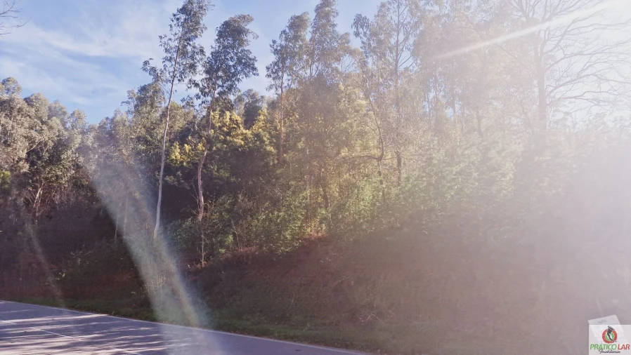 Terreno para Venda em Cedrim e Paradela Foto 9