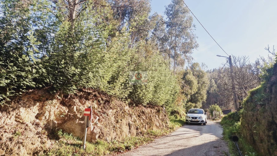 Terreno para Venda em Cedrim e Paradela Foto 6