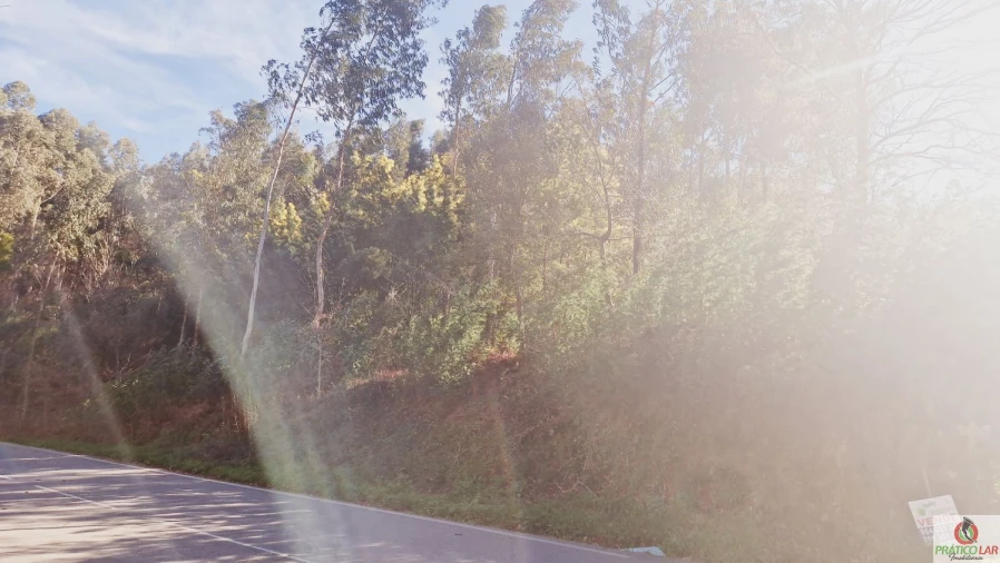 Terreno para Venda em Cedrim e Paradela Foto 8