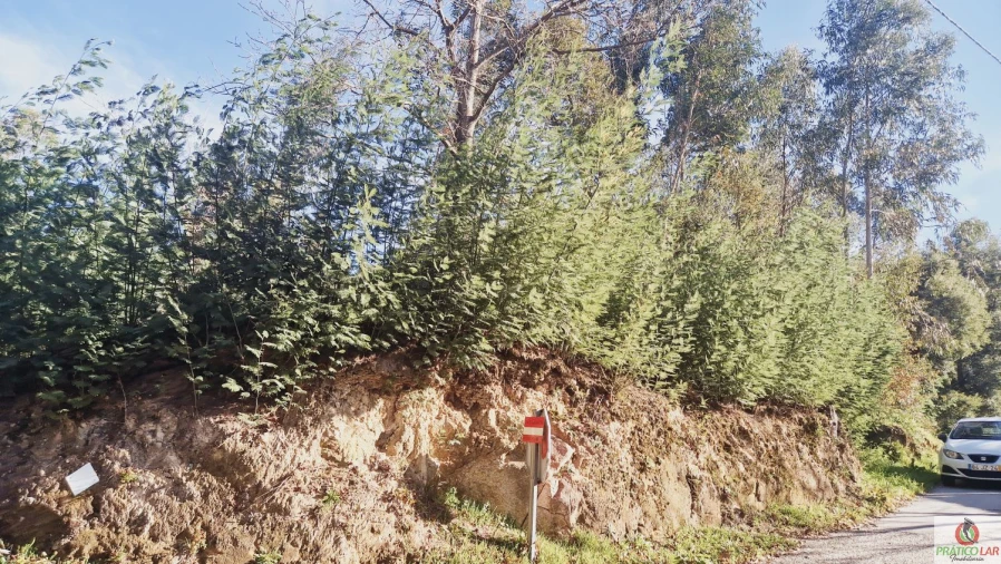 Terreno para Venda em Cedrim e Paradela Foto 7