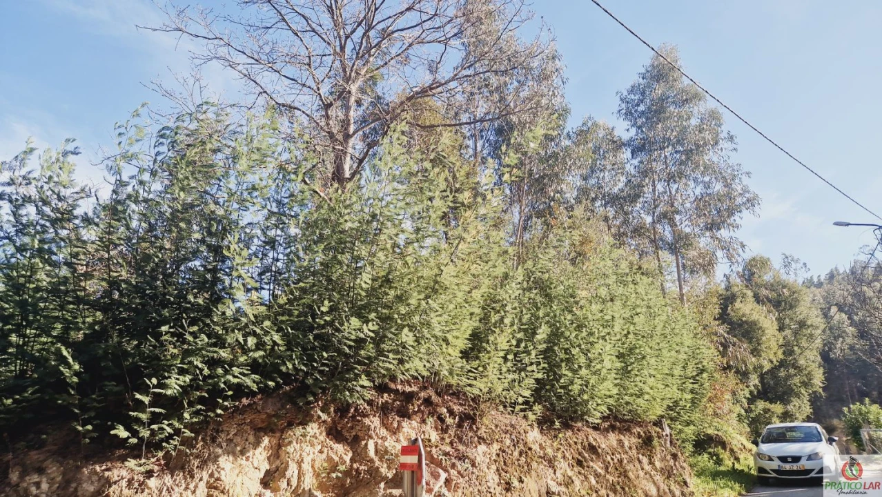 Terreno para Venda em Cedrim e Paradela Foto 2