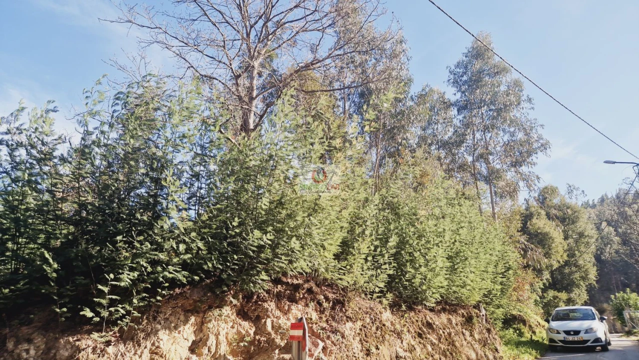Terreno para Venda em Cedrim e Paradela Foto 2