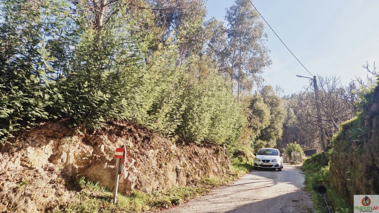 Terreno para Venda em Cedrim e Paradela Foto 6