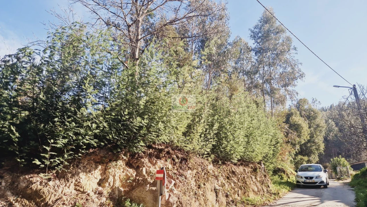 Terreno para Venda em Cedrim e Paradela Foto 5