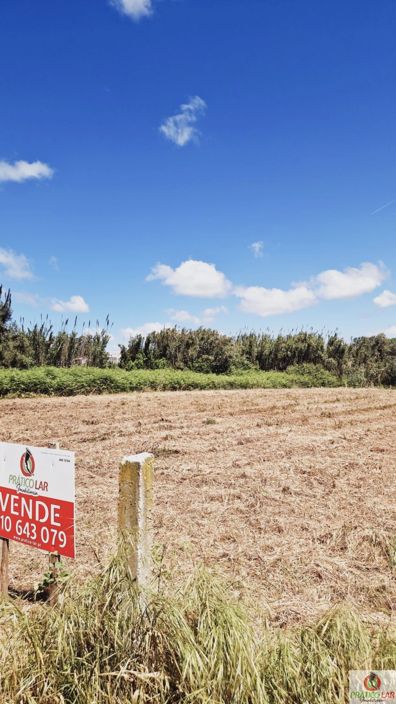 Terreno para Venda em Oliveira do Bairro Foto 13