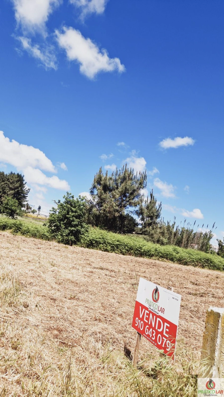 Terreno para Venda em Oliveira do Bairro Foto 15