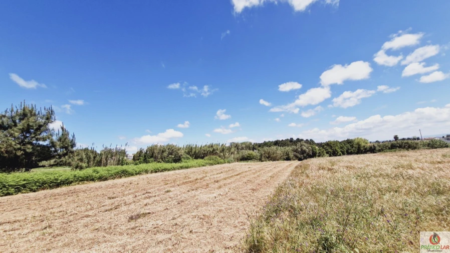 Terreno para Venda em Oliveira do Bairro Foto 9