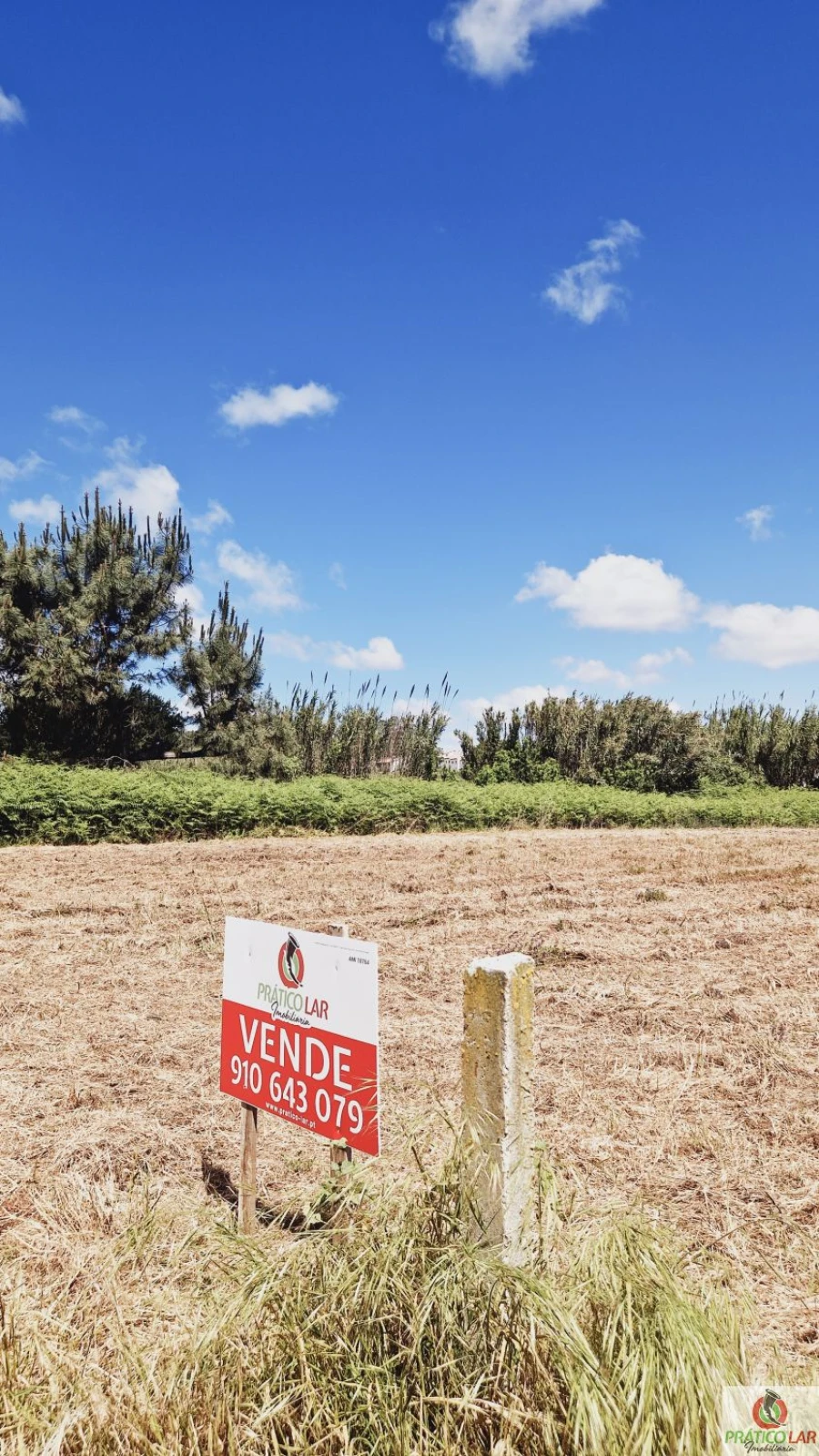 Terreno para Venda em Oliveira do Bairro Foto 12