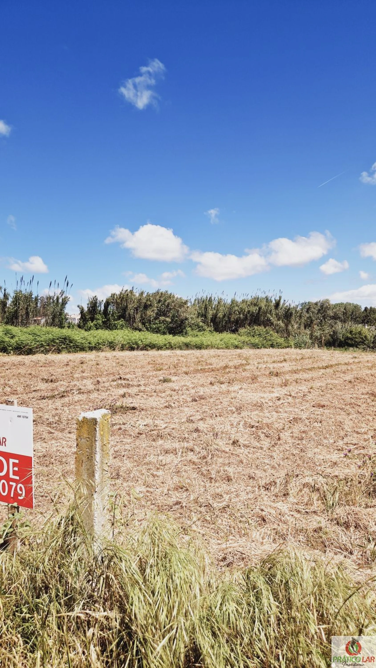 Terreno para Venda em Oliveira do Bairro Foto 14