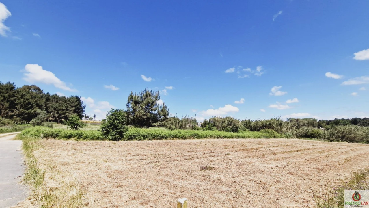 Terreno para Venda em Oliveira do Bairro Foto 6