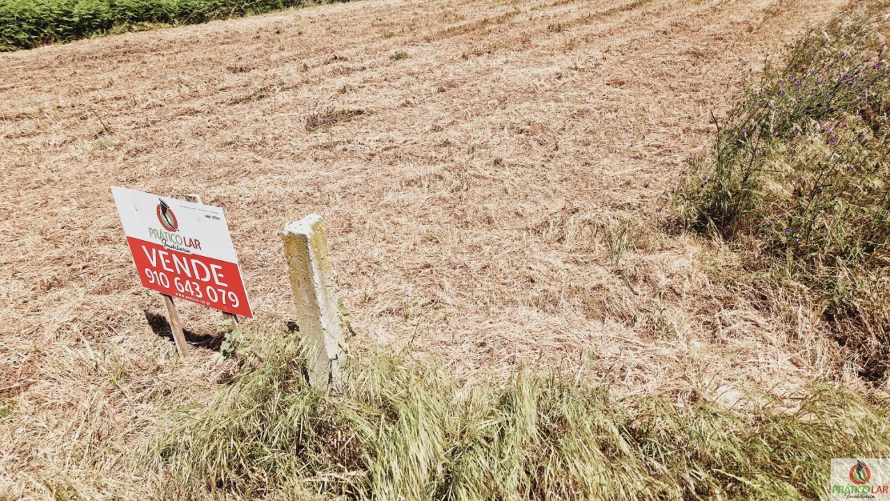 Terreno para Venda em Oliveira do Bairro Foto 11