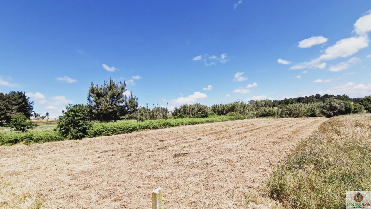 Terreno para Venda em Oliveira do Bairro Foto 5