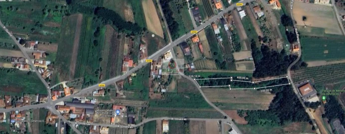 Terreno para Venda em Bustos, Troviscal e Mamarrosa