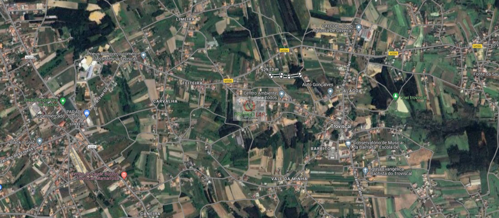 Terreno para Venda em Bustos, Troviscal e Mamarrosa Foto 4