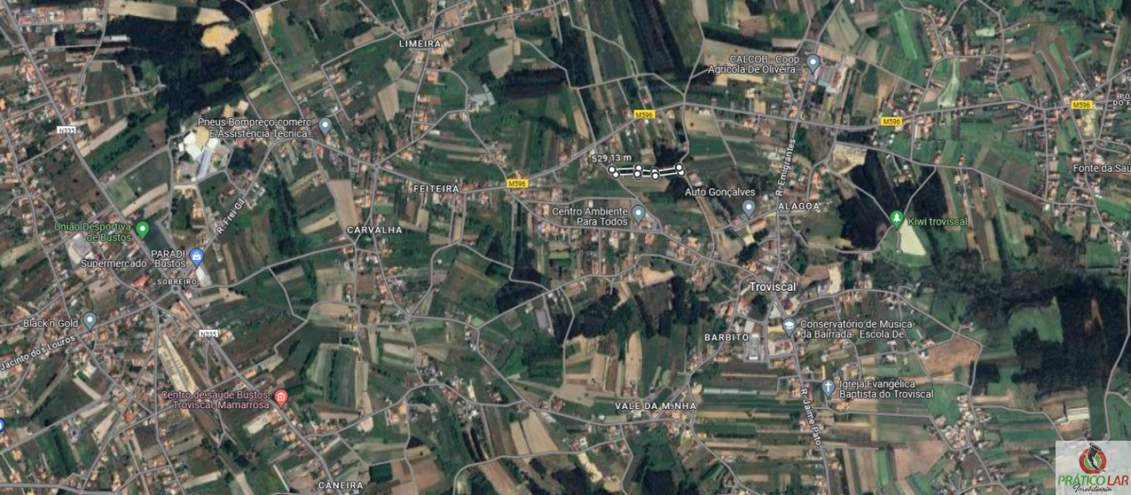 Terreno para Venda em Bustos, Troviscal e Mamarrosa Foto 4