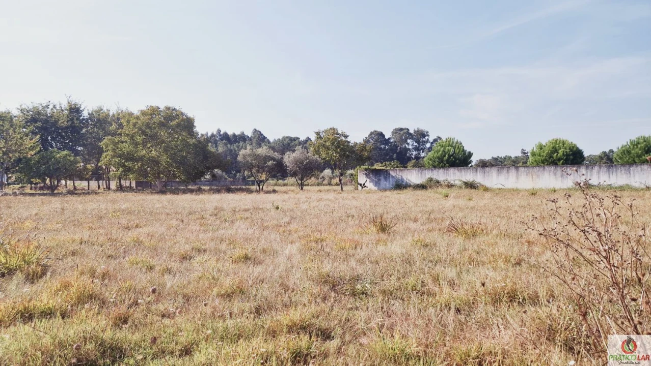 Terreno para Venda em Bustos, Troviscal e Mamarrosa Foto 1