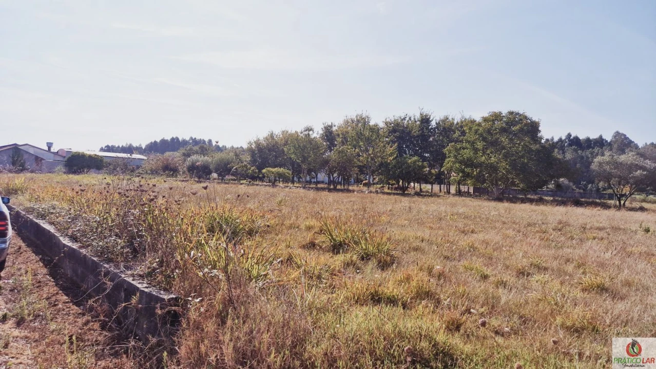 Terreno para Venda em Bustos, Troviscal e Mamarrosa Foto 4