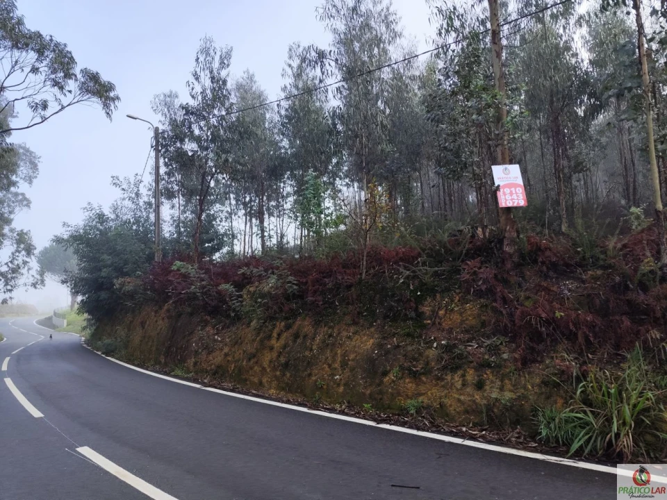 Terreno para Venda em Cedrim e Paradela Foto 5