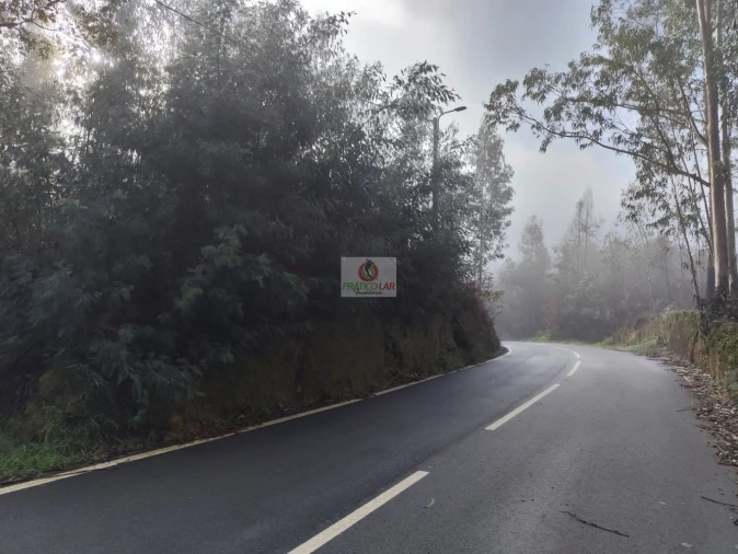 Terreno para Venda em Cedrim e Paradela Foto 9