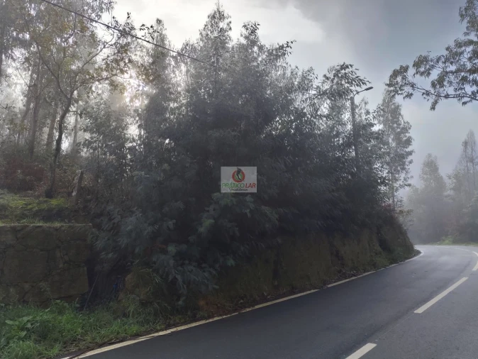 Terreno para Venda em Cedrim e Paradela Foto 8