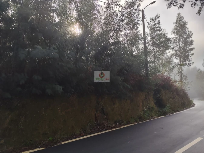 Terreno para Venda em Cedrim e Paradela Foto 12