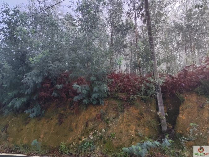 Terreno para Venda em Cedrim e Paradela Foto 7