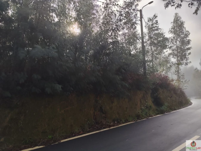 Terreno para Venda em Cedrim e Paradela Foto 12