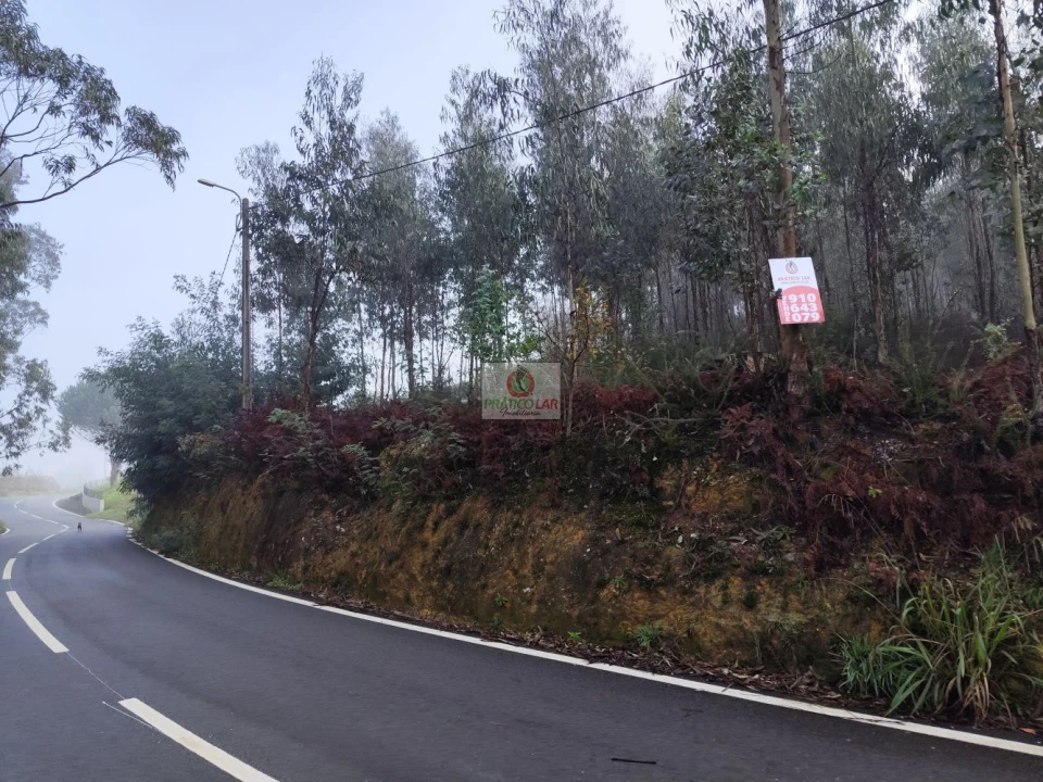 Terreno para Venda em Cedrim e Paradela Foto 5