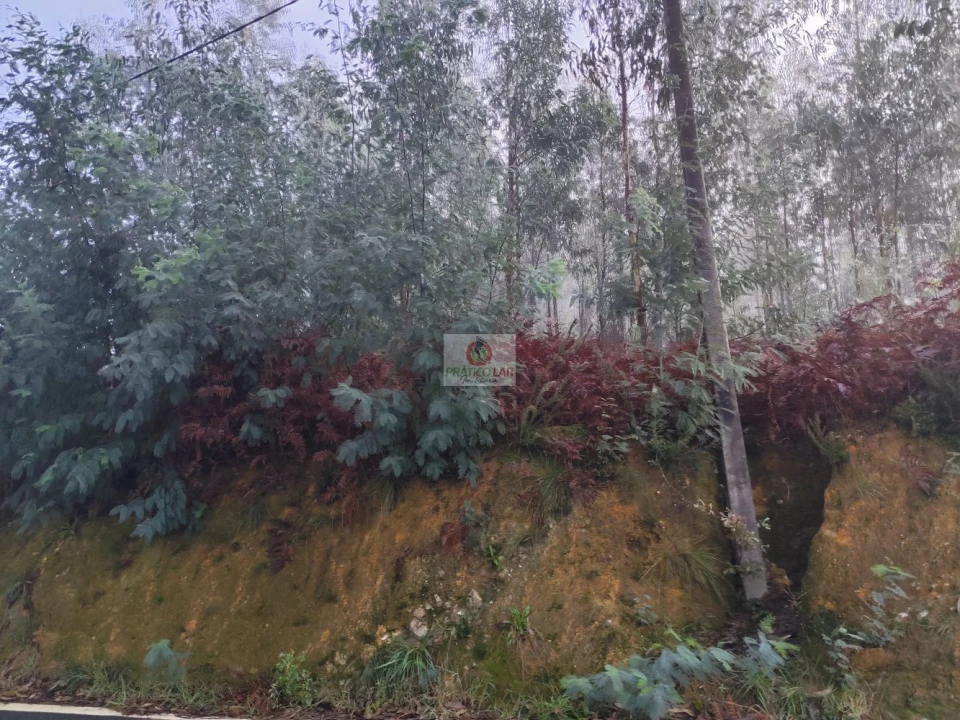 Terreno para Venda em Cedrim e Paradela Foto 7