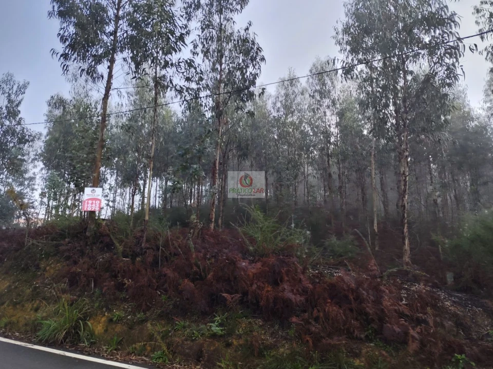 Terreno para Venda em Cedrim e Paradela Foto 4