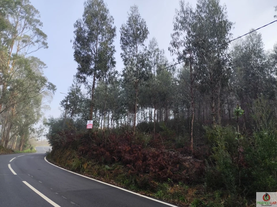 Terreno para Venda em Cedrim e Paradela Foto 2