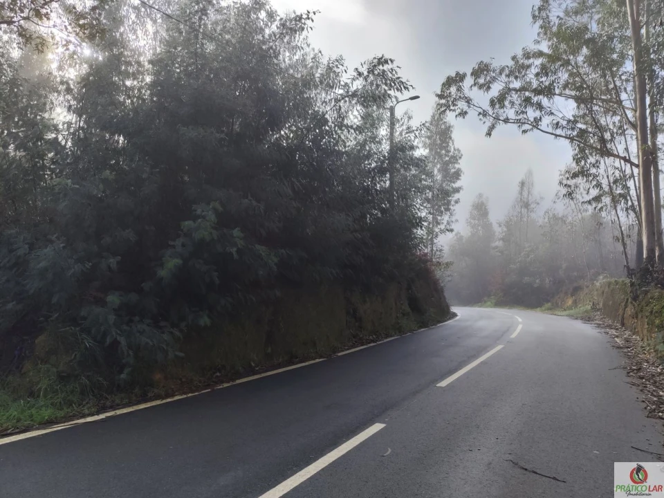 Terreno para Venda em Cedrim e Paradela Foto 9