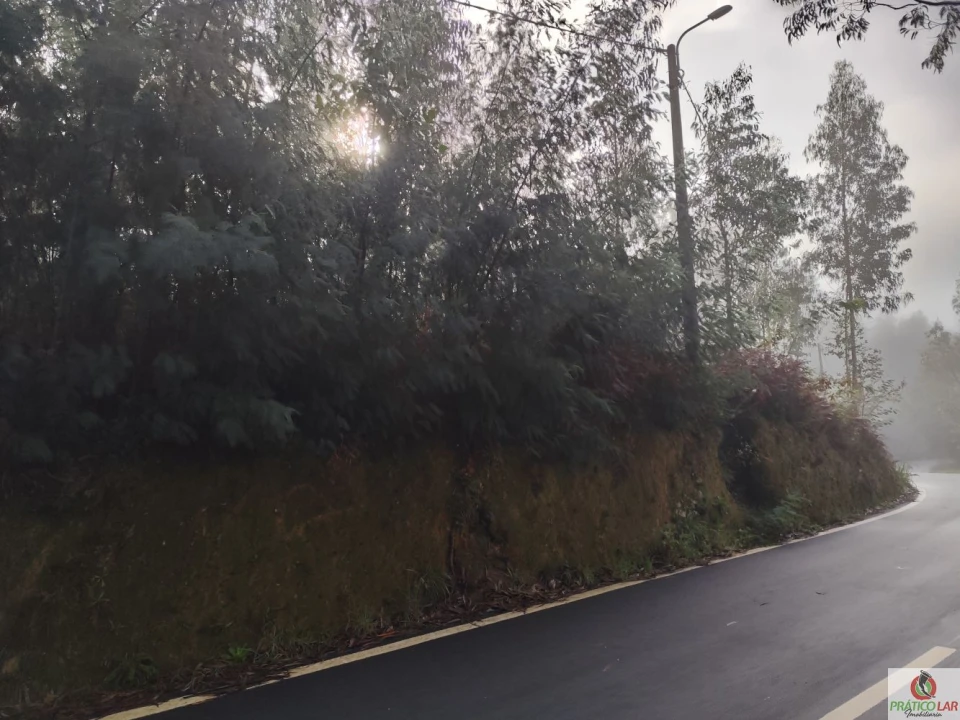 Terreno para Venda em Cedrim e Paradela Foto 12
