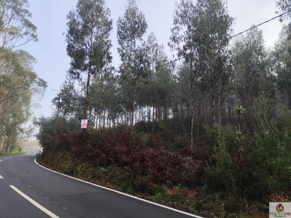 Terreno para Venda em Cedrim e Paradela Foto 3