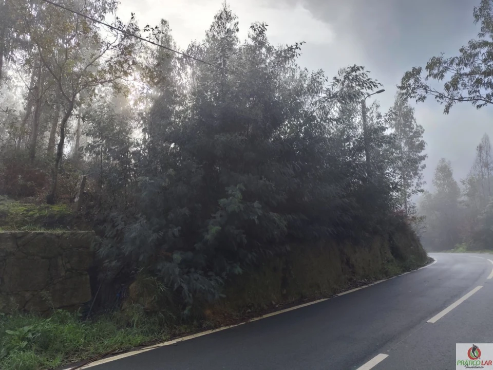 Terreno para Venda em Cedrim e Paradela Foto 8