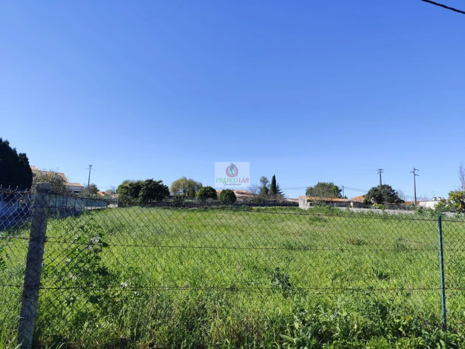 Terreno para Venda em Oiã Foto 3