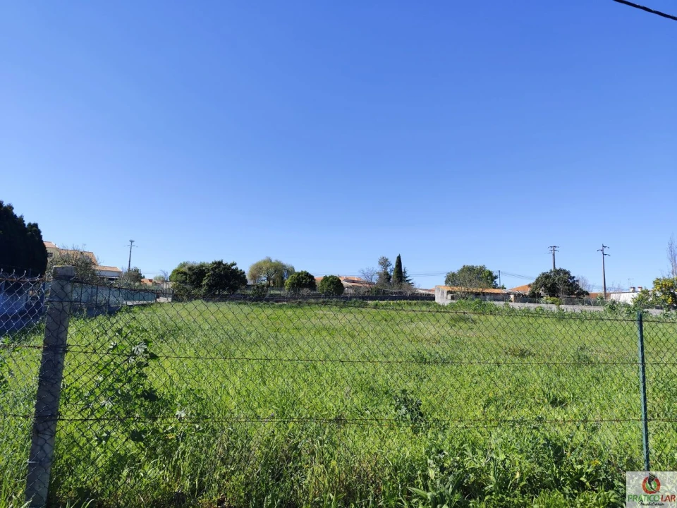 Terreno para Venda em Oiã Foto 3