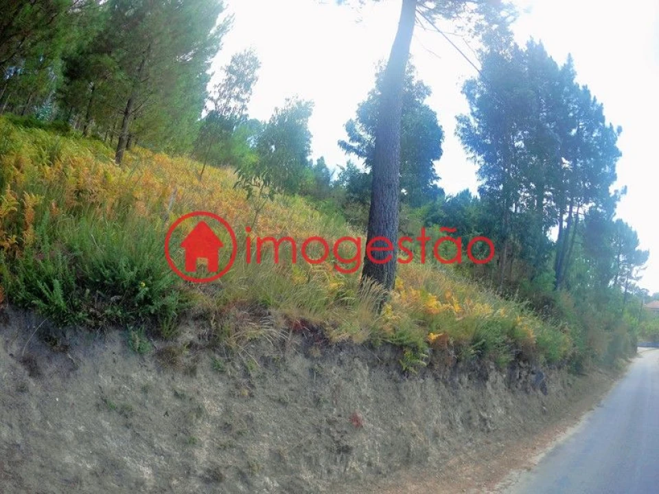 Terreno para Venda em Cornes Foto 8