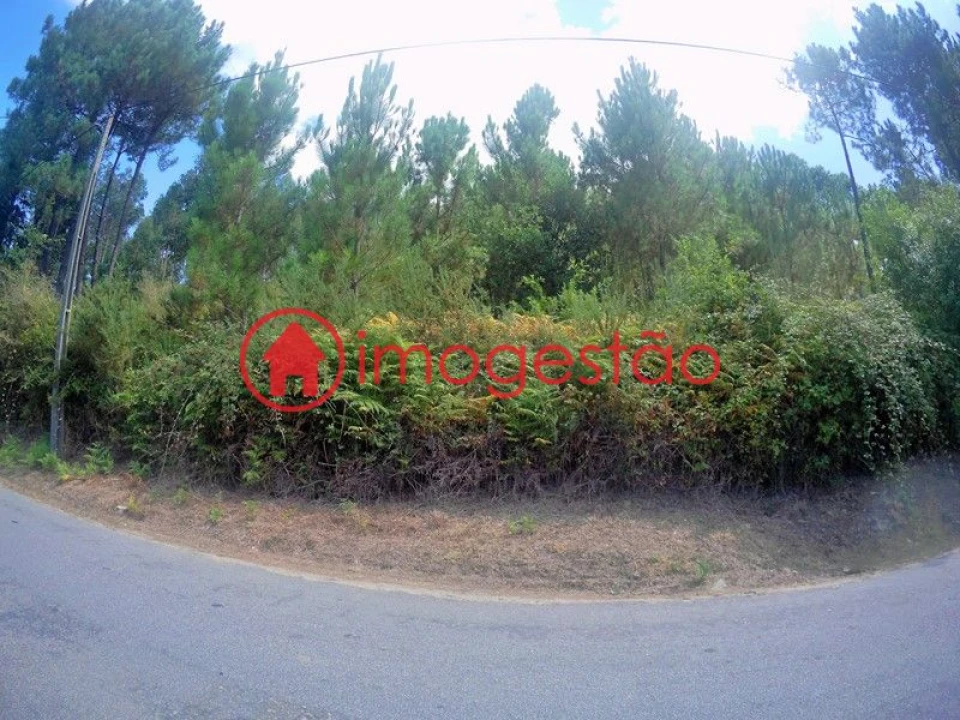 Terreno para Venda em Cornes Foto 3