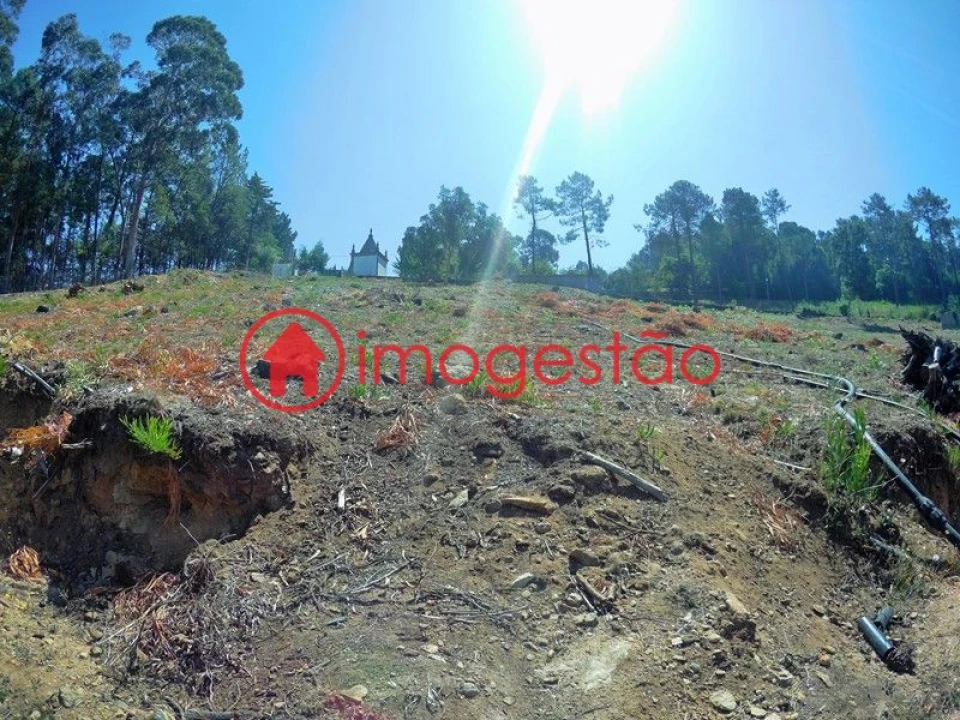 Terreno para Venda em Vila Nova de Cerveira e Lovelhe Foto 2