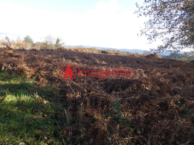 Terreno para Venda em Mentrestido Foto 7