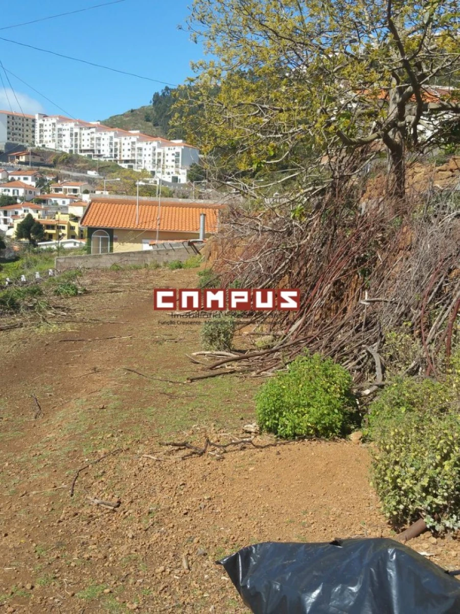 Terreno para Venda em Caniço Foto 4